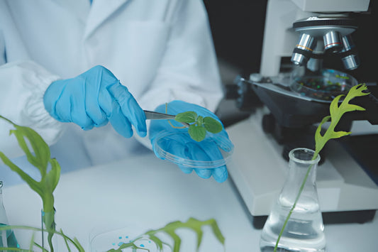 A Deep Dive into Skincare Science with These Powerful Ingredients