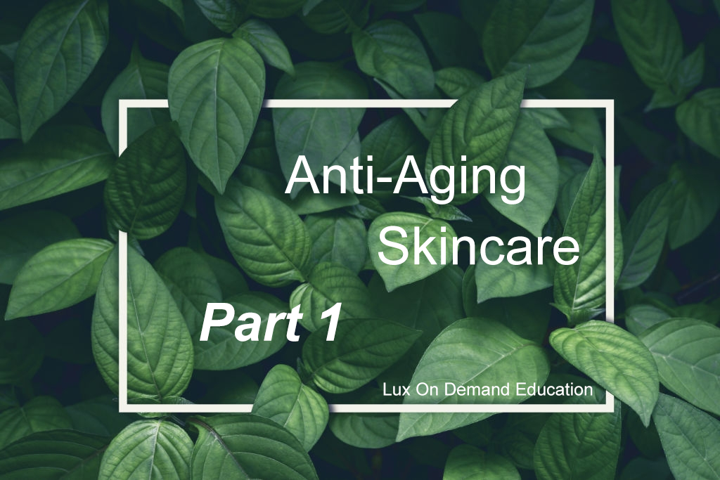 Anti-Aging Skincare